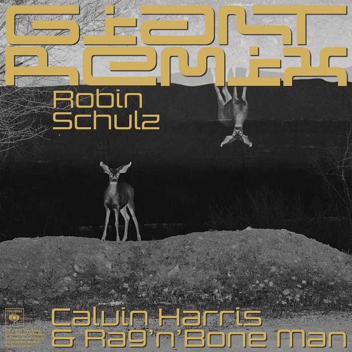 Calvin Harris Ft. Rag n Bone Man - Giant (Robin Schulz Extended Remix)